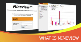 What is Mineview